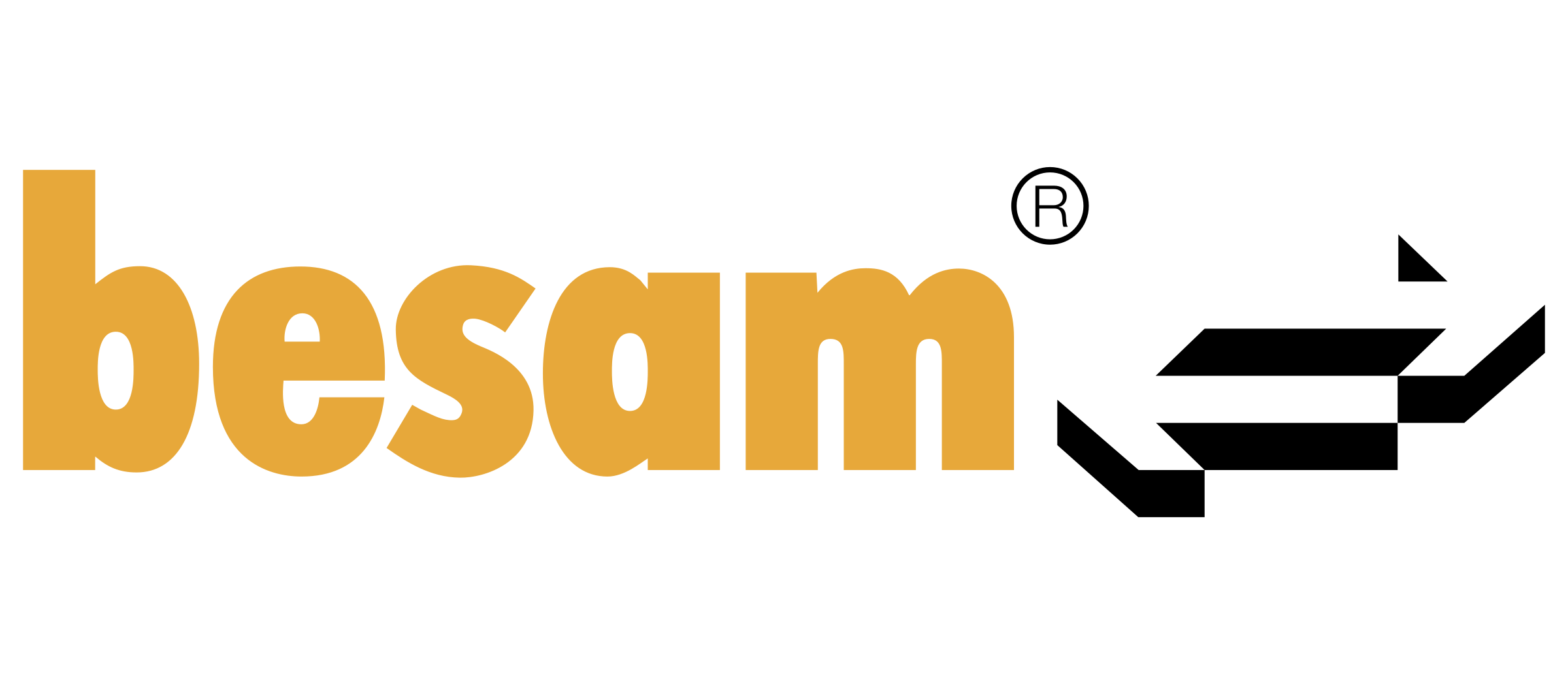 besam-logo-png-transparent
